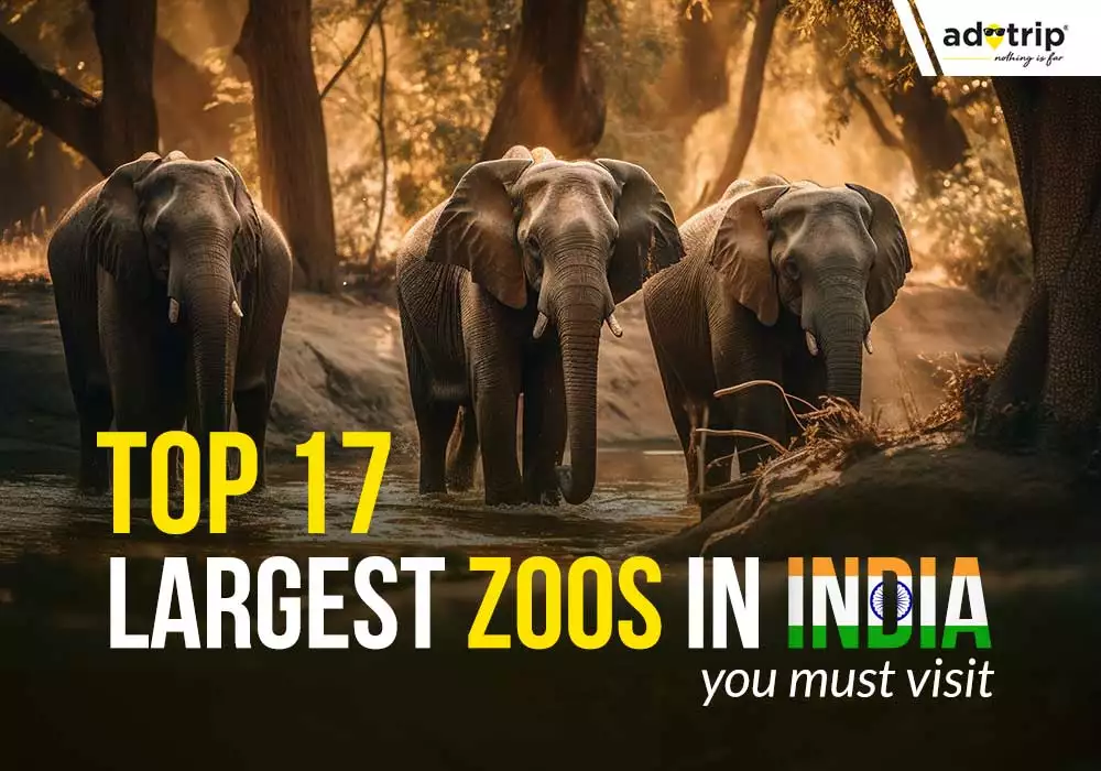 Largest Zoos in India.